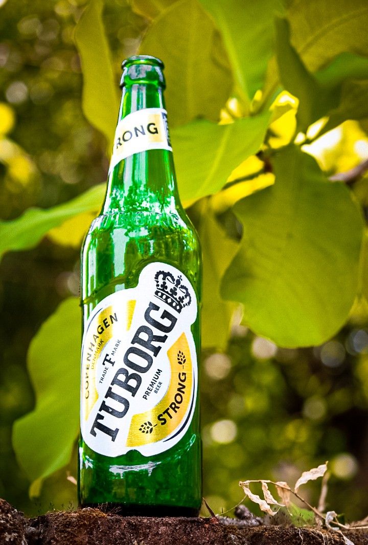 Tuborg Gold